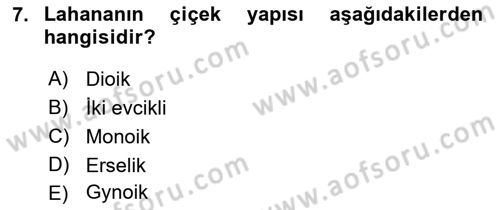 Bahçe Tarımı 2 Dersi 2018 - 2019 Yılı 3 Ders Sınav Soruları 7. Soru