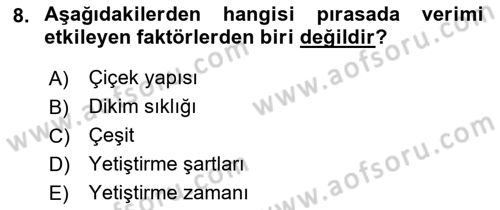 Bahçe Tarımı 2 Dersi 2018 - 2019 Yılı 3 Ders Sınav Soruları 8. Soru