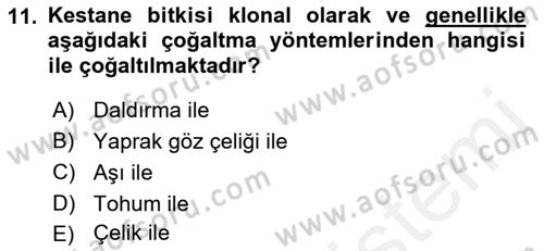 Bahçe Tarımı 2 Dersi 2018 - 2019 Yılı (Vize) Ara Sınav Soruları 11. Soru