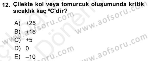 Bahçe Tarımı 2 Dersi 2018 - 2019 Yılı (Vize) Ara Sınav Soruları 12. Soru