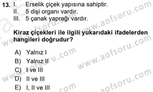 Bahçe Tarımı 2 Dersi 2018 - 2019 Yılı (Vize) Ara Sınav Soruları 13. Soru
