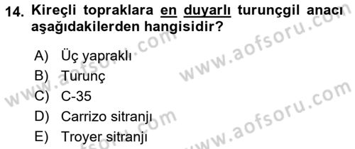 Bahçe Tarımı 2 Dersi 2018 - 2019 Yılı (Vize) Ara Sınav Soruları 14. Soru