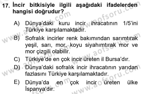 Bahçe Tarımı 2 Dersi 2018 - 2019 Yılı (Vize) Ara Sınav Soruları 17. Soru