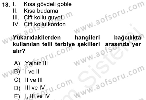 Bahçe Tarımı 2 Dersi 2018 - 2019 Yılı (Vize) Ara Sınav Soruları 18. Soru