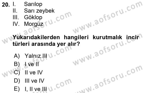 Bahçe Tarımı 2 Dersi 2018 - 2019 Yılı (Vize) Ara Sınav Soruları 20. Soru