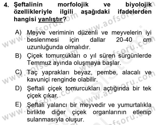 Bahçe Tarımı 2 Dersi 2018 - 2019 Yılı (Vize) Ara Sınav Soruları 4. Soru