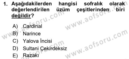 Bahçe Tarımı 2 Dersi 2018 - 2019 Yılı (Final) Dönem Sonu Sınav Soruları 1. Soru
