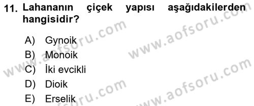 Bahçe Tarımı 2 Dersi 2018 - 2019 Yılı (Final) Dönem Sonu Sınav Soruları 11. Soru