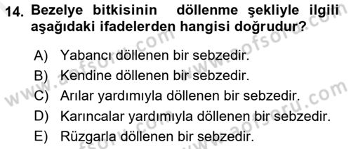Bahçe Tarımı 2 Dersi 2018 - 2019 Yılı (Final) Dönem Sonu Sınav Soruları 14. Soru