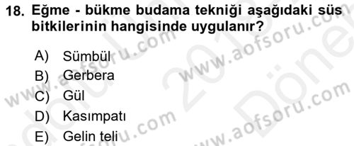 Bahçe Tarımı 2 Dersi 2018 - 2019 Yılı (Final) Dönem Sonu Sınav Soruları 18. Soru