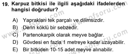 Bahçe Tarımı 2 Dersi 2018 - 2019 Yılı (Final) Dönem Sonu Sınav Soruları 19. Soru