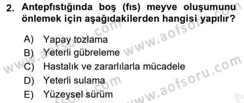 Bahçe Tarımı 2 Dersi 2018 - 2019 Yılı (Final) Dönem Sonu Sınav Soruları 2. Soru