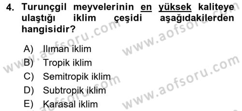 Bahçe Tarımı 2 Dersi 2018 - 2019 Yılı (Final) Dönem Sonu Sınav Soruları 4. Soru