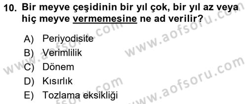 Bahçe Tarımı 2 Dersi 2018 - 2019 Yılı Yaz Okulu Sınav Soruları 10. Soru
