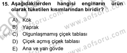 Bahçe Tarımı 2 Dersi 2018 - 2019 Yılı Yaz Okulu Sınav Soruları 15. Soru