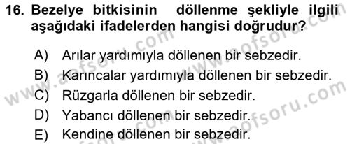 Bahçe Tarımı 2 Dersi 2018 - 2019 Yılı Yaz Okulu Sınav Soruları 16. Soru