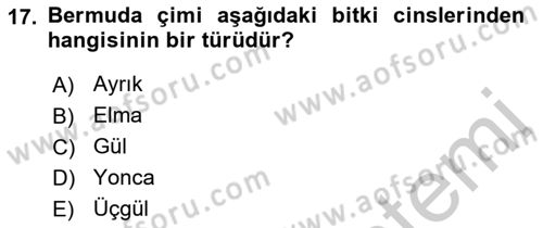 Bahçe Tarımı 2 Dersi 2018 - 2019 Yılı Yaz Okulu Sınav Soruları 17. Soru