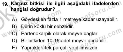 Bahçe Tarımı 2 Dersi 2018 - 2019 Yılı Yaz Okulu Sınav Soruları 19. Soru