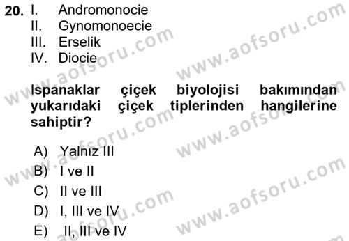 Bahçe Tarımı 2 Dersi 2018 - 2019 Yılı Yaz Okulu Sınav Soruları 20. Soru