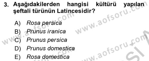 Bahçe Tarımı 2 Dersi 2018 - 2019 Yılı Yaz Okulu Sınav Soruları 3. Soru