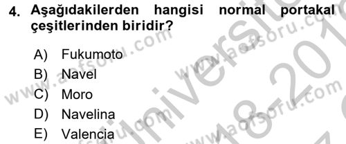 Bahçe Tarımı 2 Dersi 2018 - 2019 Yılı Yaz Okulu Sınav Soruları 4. Soru