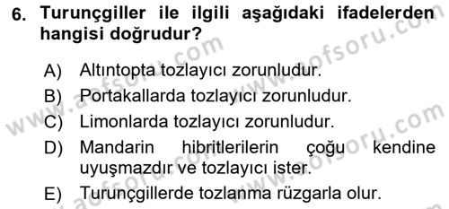 Bahçe Tarımı 2 Dersi 2018 - 2019 Yılı Yaz Okulu Sınav Soruları 6. Soru