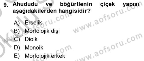Bahçe Tarımı 2 Dersi 2018 - 2019 Yılı Yaz Okulu Sınav Soruları 9. Soru