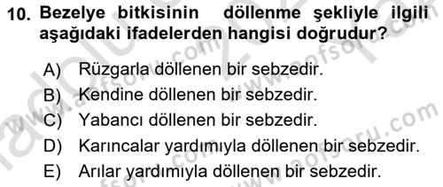 Bahçe Tarımı 2 Dersi 2020 - 2021 Yılı Yaz Okulu Sınavı 10. Soru