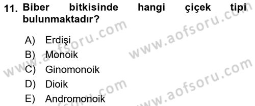 Bahçe Tarımı 2 Dersi 2020 - 2021 Yılı Yaz Okulu Sınavı 11. Soru