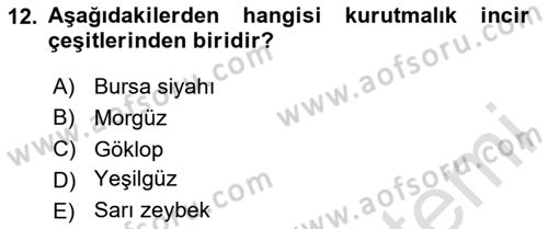 Bahçe Tarımı 2 Dersi 2020 - 2021 Yılı Yaz Okulu Sınavı 12. Soru