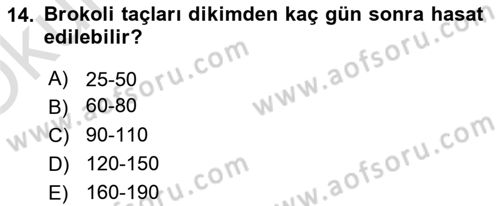 Bahçe Tarımı 2 Dersi 2020 - 2021 Yılı Yaz Okulu Sınavı 14. Soru