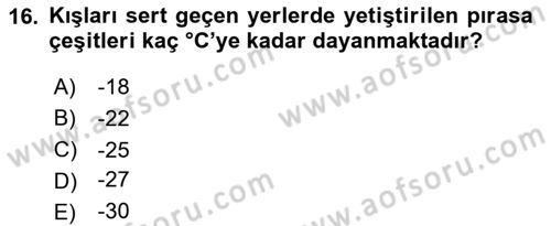 Bahçe Tarımı 2 Dersi 2020 - 2021 Yılı Yaz Okulu Sınavı 16. Soru