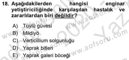 Bahçe Tarımı 2 Dersi 2020 - 2021 Yılı Yaz Okulu Sınavı 18. Soru