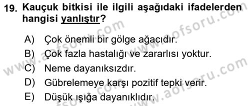 Bahçe Tarımı 2 Dersi 2020 - 2021 Yılı Yaz Okulu Sınavı 19. Soru