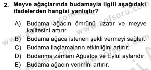 Bahçe Tarımı 2 Dersi 2020 - 2021 Yılı Yaz Okulu Sınavı 2. Soru