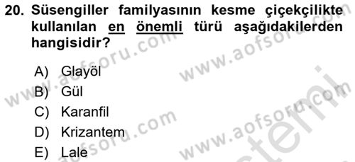 Bahçe Tarımı 2 Dersi 2020 - 2021 Yılı Yaz Okulu Sınavı 20. Soru