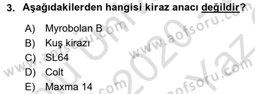 Bahçe Tarımı 2 Dersi 2020 - 2021 Yılı Yaz Okulu Sınavı 3. Soru