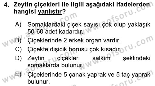 Bahçe Tarımı 2 Dersi 2020 - 2021 Yılı Yaz Okulu Sınavı 4. Soru