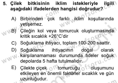 Bahçe Tarımı 2 Dersi 2020 - 2021 Yılı Yaz Okulu Sınavı 5. Soru