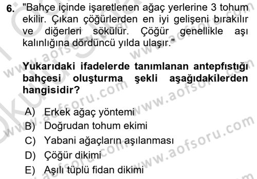 Bahçe Tarımı 2 Dersi 2020 - 2021 Yılı Yaz Okulu Sınavı 6. Soru