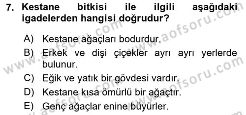 Bahçe Tarımı 2 Dersi 2020 - 2021 Yılı Yaz Okulu Sınavı 7. Soru