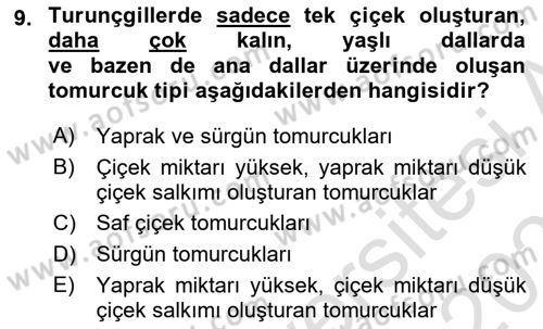 Bahçe Tarımı 2 Dersi 2020 - 2021 Yılı Yaz Okulu Sınavı 9. Soru