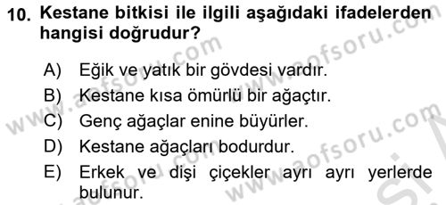 Bahçe Tarımı 2 Dersi 2021 - 2022 Yılı (Vize) Ara Sınav Soruları 10. Soru