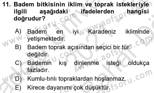 Bahçe Tarımı 2 Dersi 2021 - 2022 Yılı (Vize) Ara Sınav Soruları 11. Soru