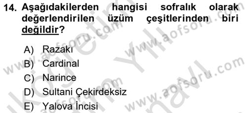 Bahçe Tarımı 2 Dersi 2021 - 2022 Yılı (Vize) Ara Sınav Soruları 14. Soru