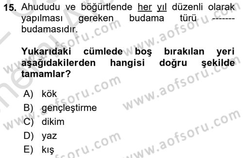 Bahçe Tarımı 2 Dersi 2021 - 2022 Yılı (Vize) Ara Sınav Soruları 15. Soru