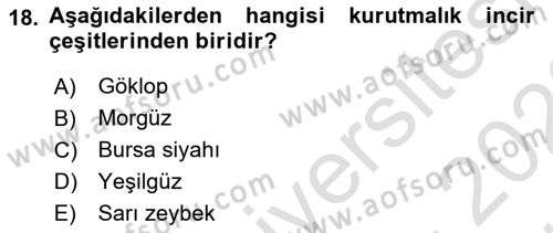 Bahçe Tarımı 2 Dersi 2021 - 2022 Yılı (Vize) Ara Sınav Soruları 18. Soru
