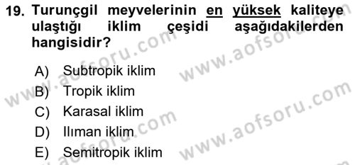 Bahçe Tarımı 2 Dersi 2021 - 2022 Yılı (Vize) Ara Sınavı 19. Soru