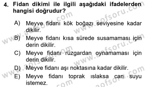 Bahçe Tarımı 2 Dersi 2021 - 2022 Yılı (Vize) Ara Sınav Soruları 4. Soru