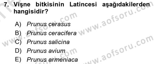 Bahçe Tarımı 2 Dersi 2021 - 2022 Yılı (Vize) Ara Sınav Soruları 7. Soru